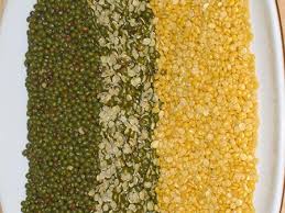 Moong Dal Manufacturer Supplier Wholesale Exporter Importer Buyer Trader Retailer in saharanpur  India
